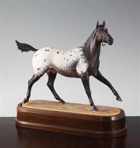 A Royal Worcester model of an Appaloosa Stallion, modelled by Doris Lindner, c.1969, 26cm